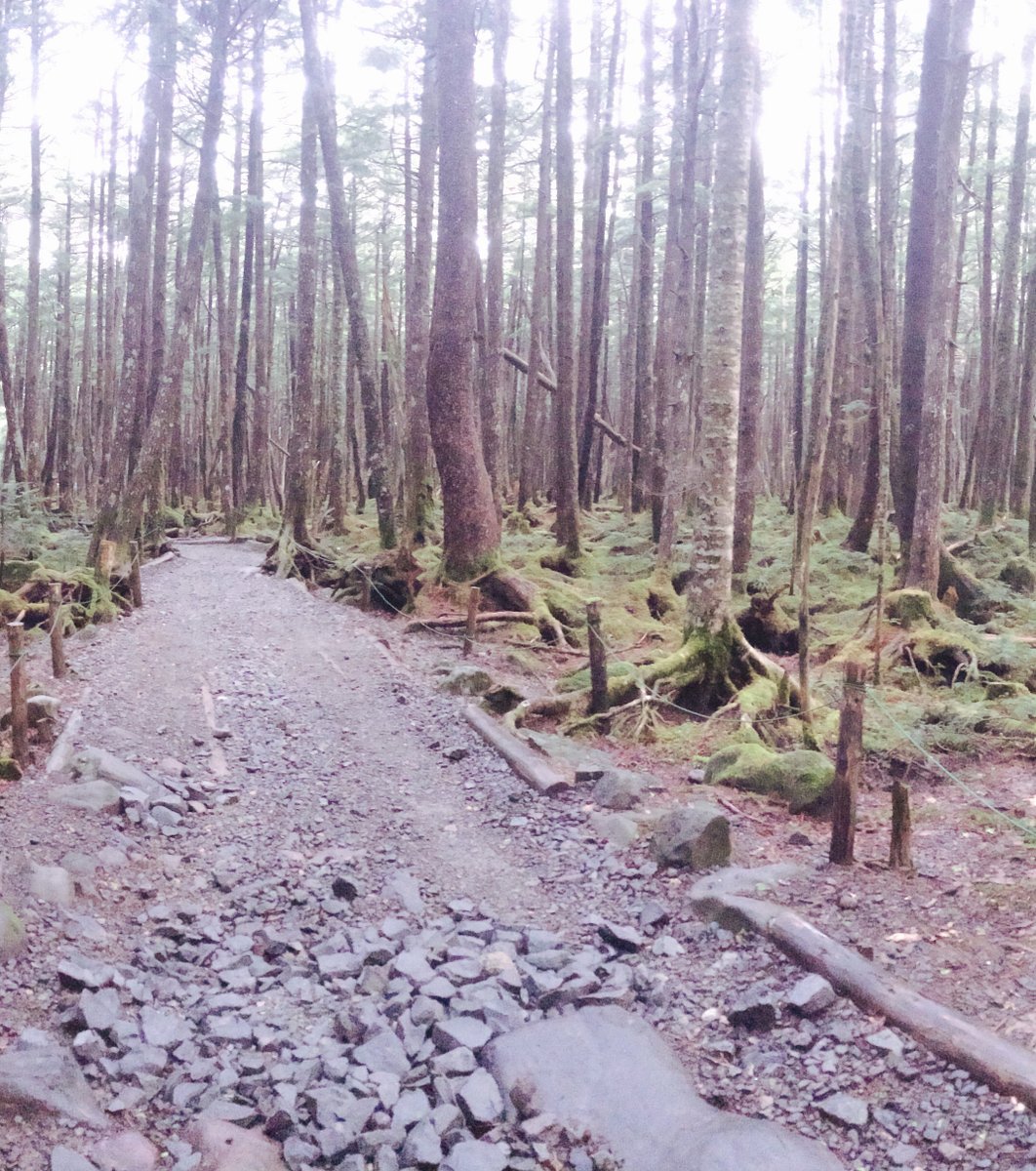 麦草峠