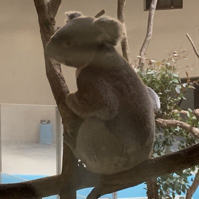 東京都多摩動物公園