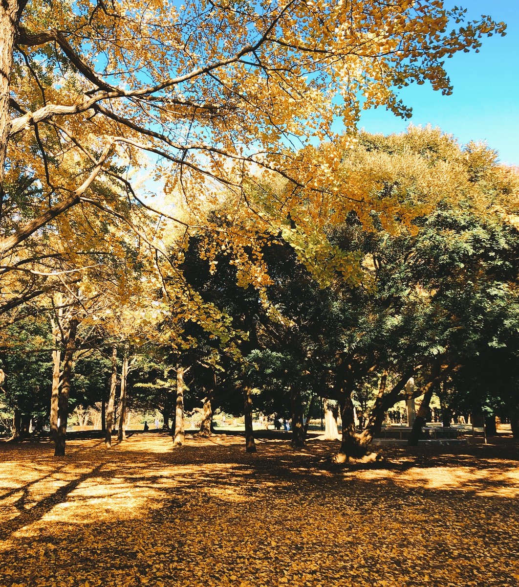 代々木公園