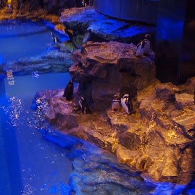 すみだ水族館