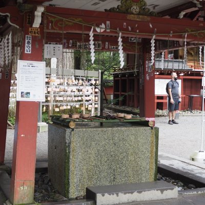 日光二荒山神社の御神木