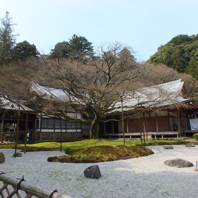 雷山千如寺大悲王院