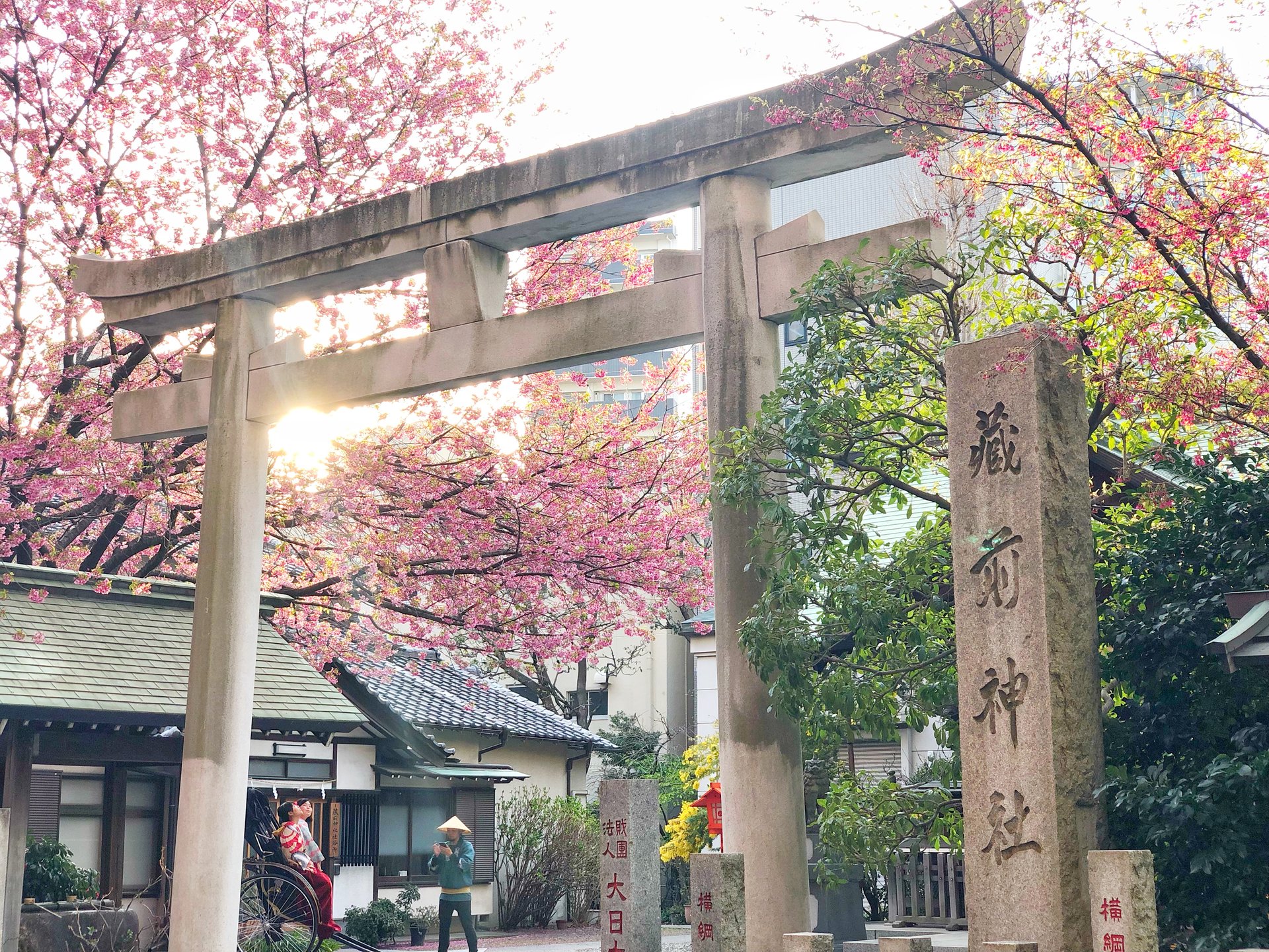 桜見るなら蔵前神社♡おしゃれカフェエリアでお花見‼︎帰りはペリカンカフェへ