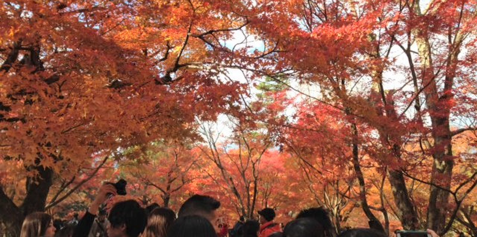 東福寺