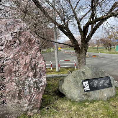 二十間道路桜並木