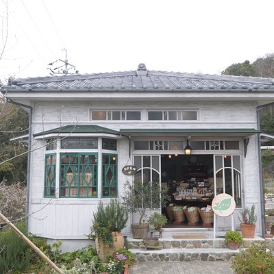 小豆島オリーブ園