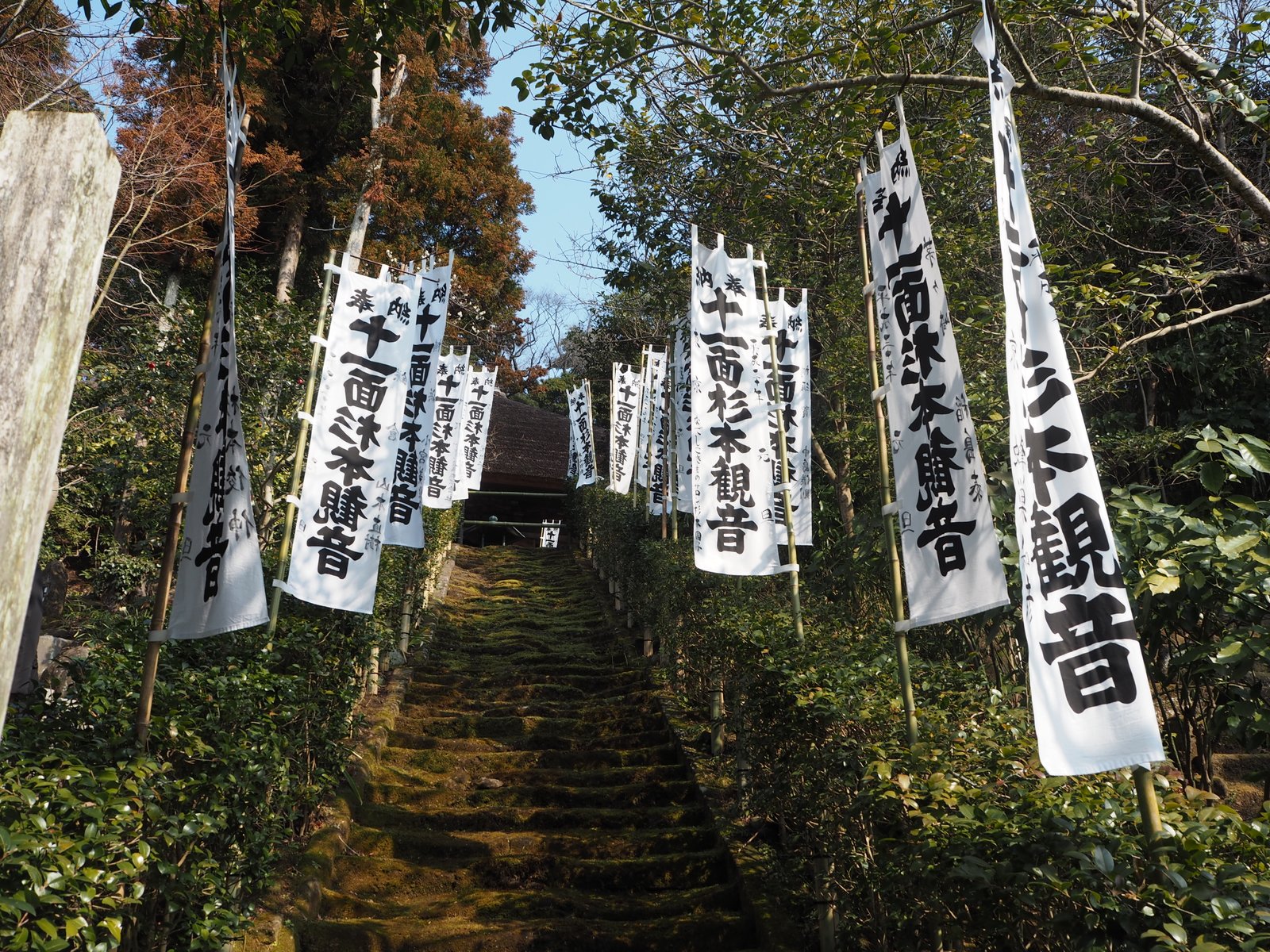 杉本寺 苔の石段