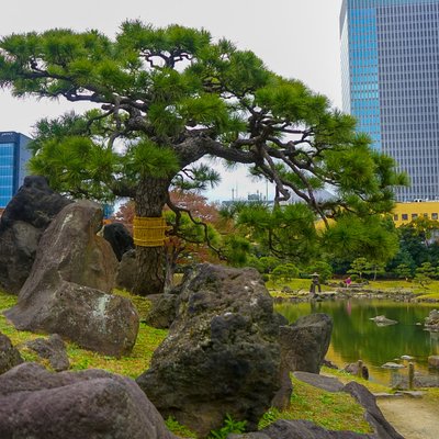 旧芝離宮恩賜庭園