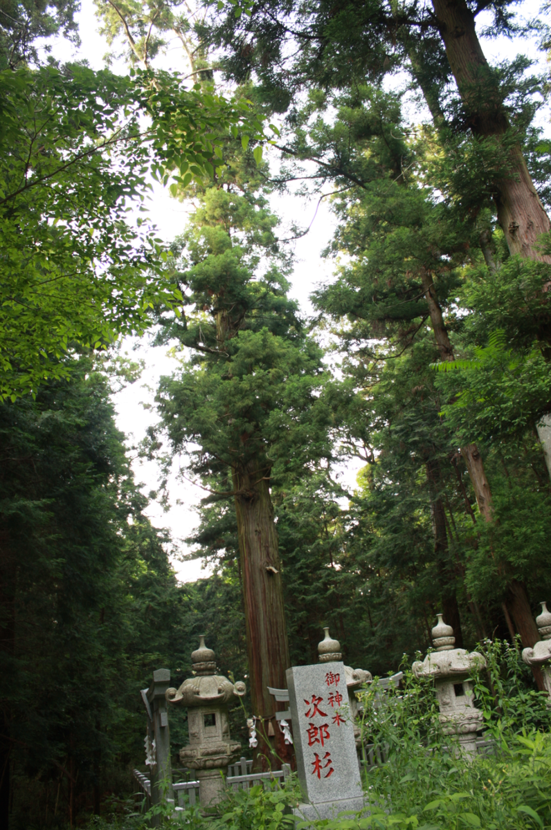 大杉神社