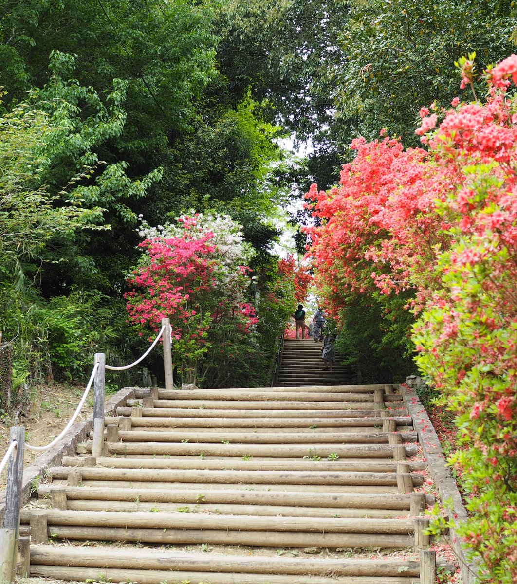 笠間つつじ公園