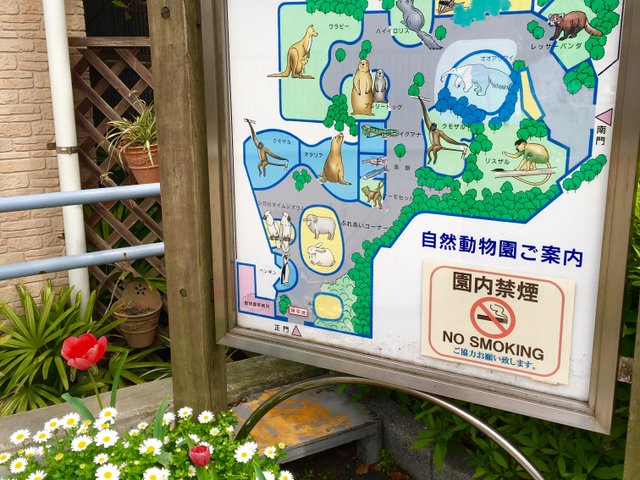 東京都内 近郊の動物園 これで絶対ハズさない おすすめ動物園10選 Playlife プレイライフ