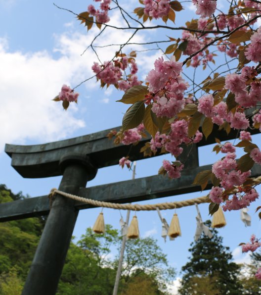 榛名神社 随神門