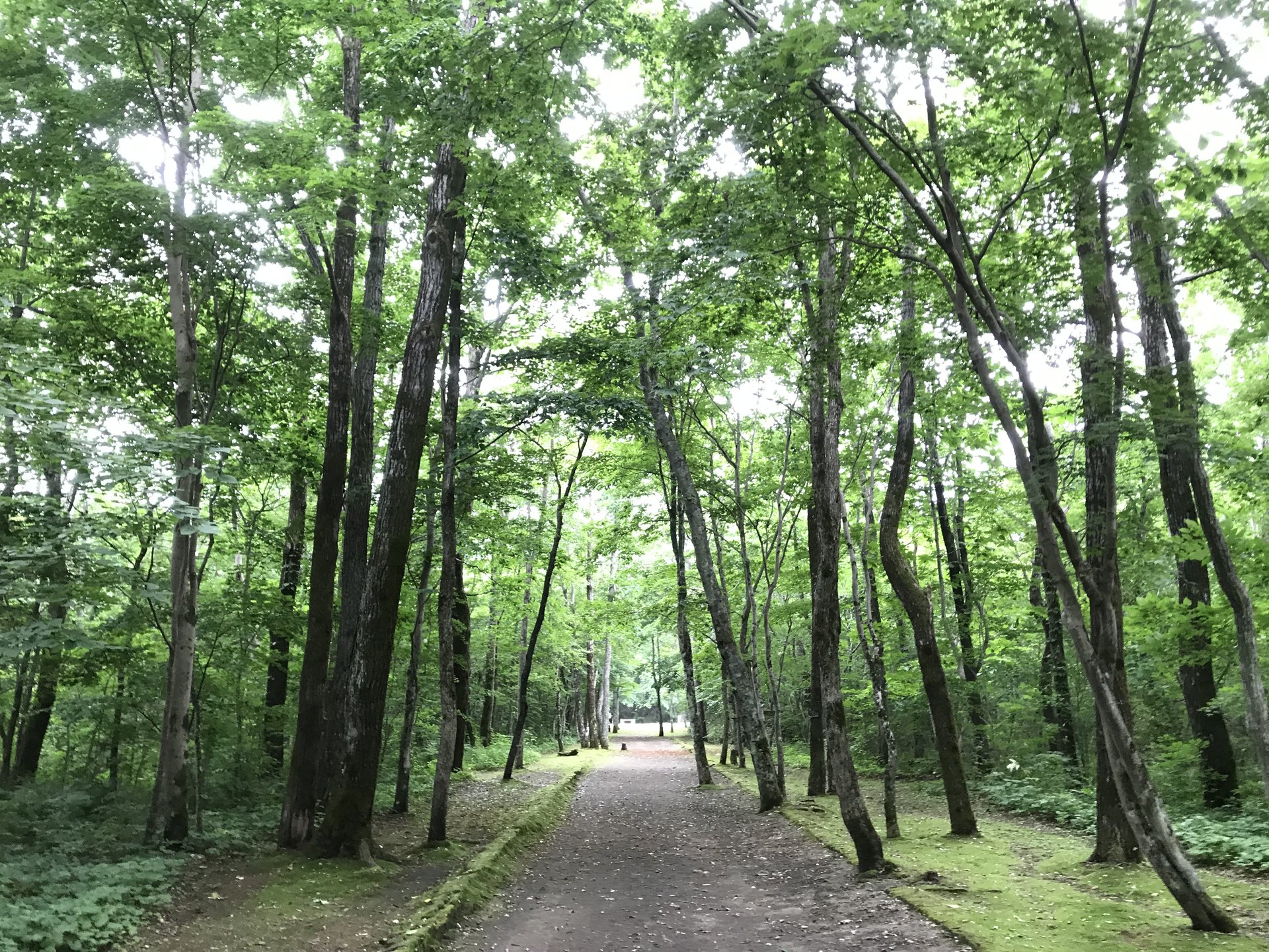 錦大沼公園