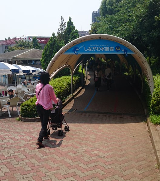 しながわ水族館