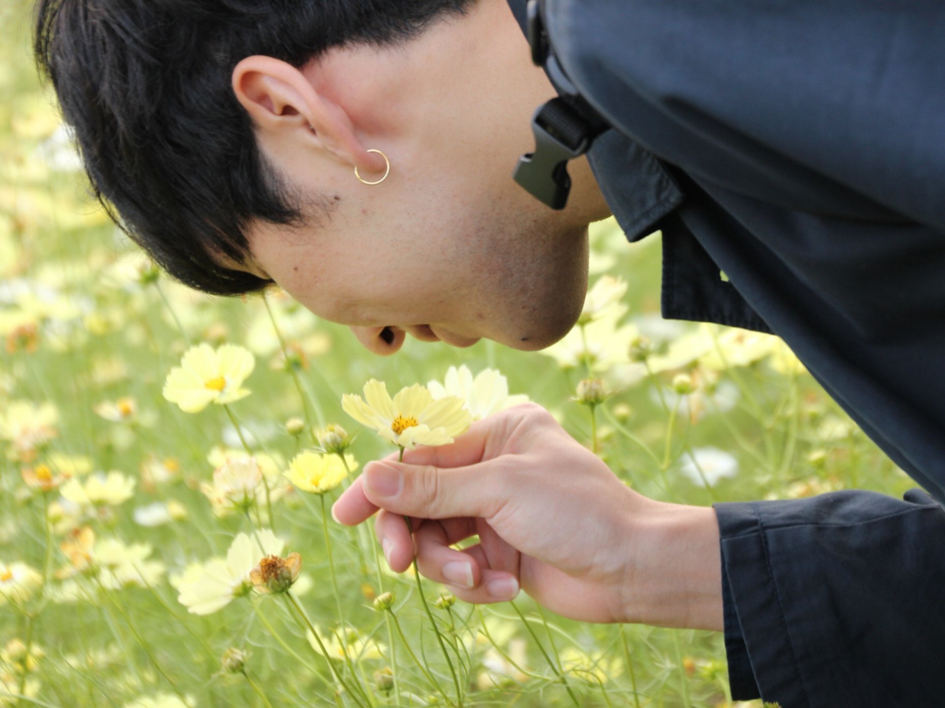 【昭和記念公園】新・紅葉狩りのススメ。綺麗な風景と共に写真撮影大会しよう！！