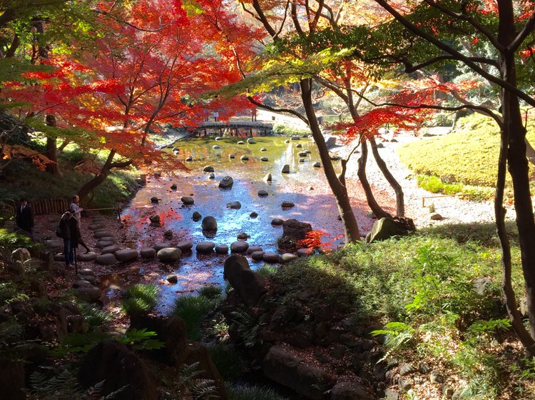 神々しい都内の絶景 今すぐ行って 紅葉を楽しみながらの散歩やロマンチックなデートに 小石川後楽園 Playlife プレイライフ