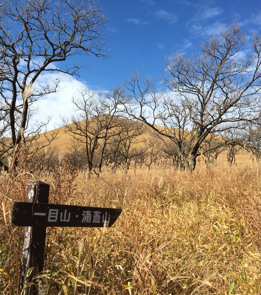 九重森林公園スキー場ゲレンデ情報