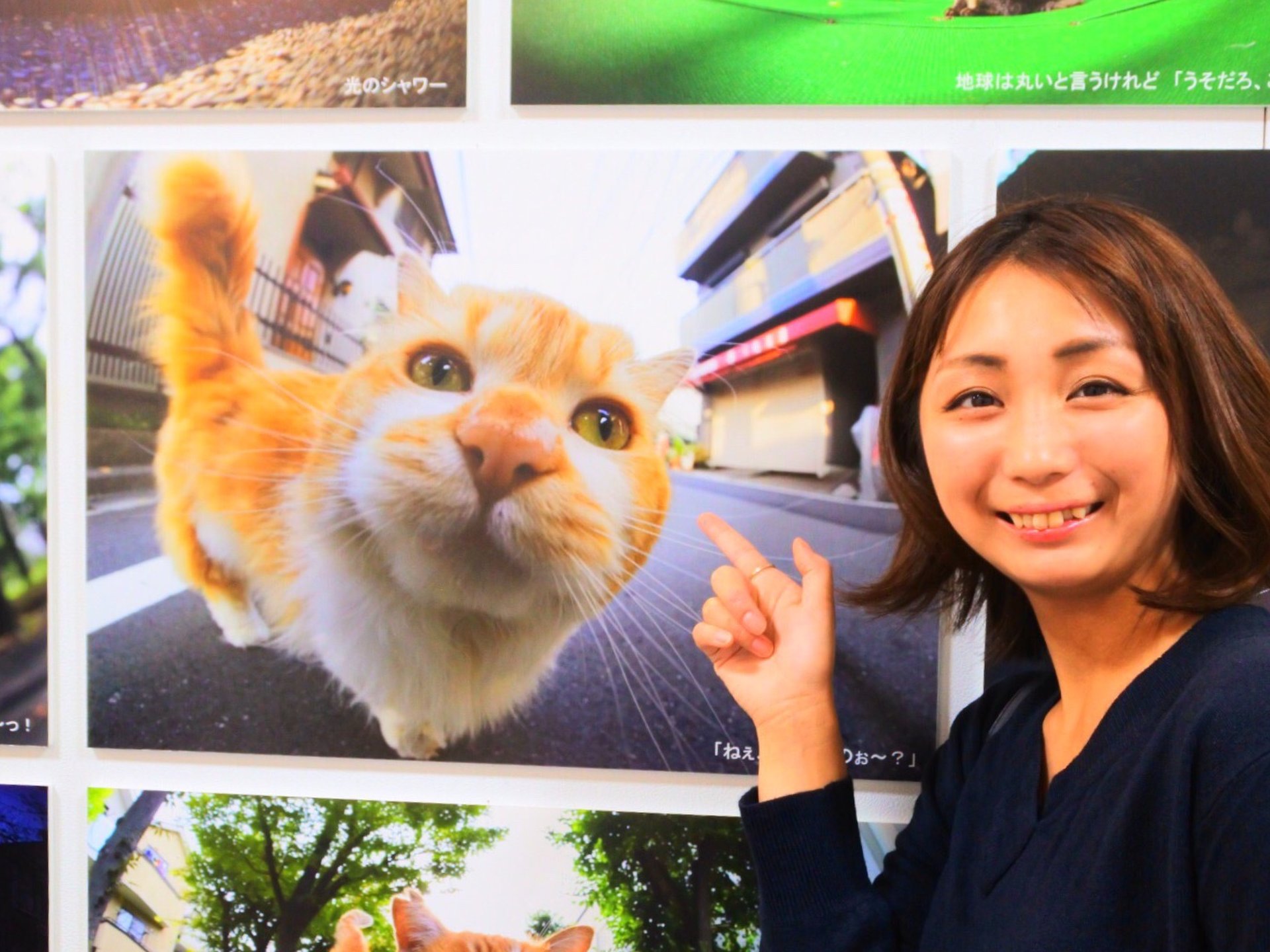かわいい猫が大集合♡期間限定 猫好き待望の"ねこ休み展"が1年半ぶりにルクア大阪で開催中！