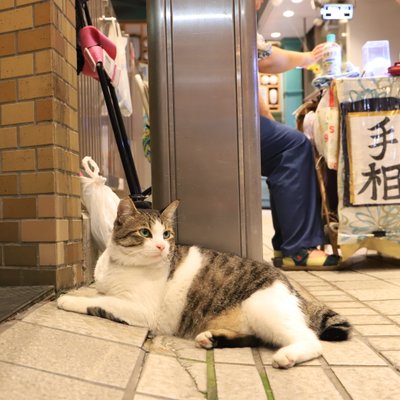 道後商店街振興組合