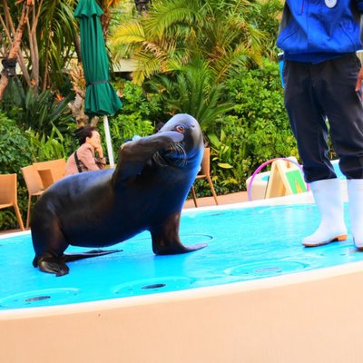 サンシャイン水族館