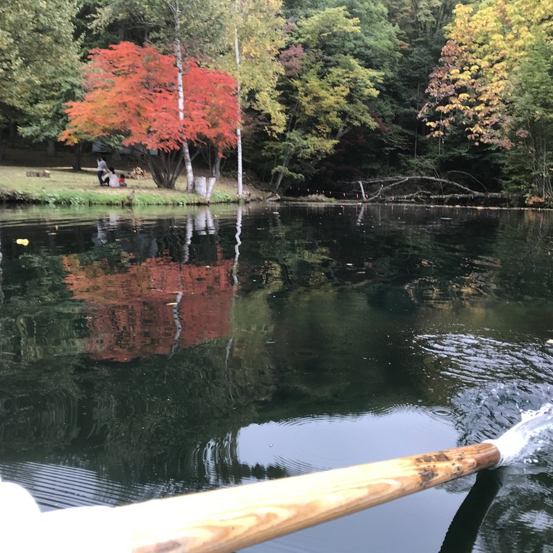 鳥沼公園