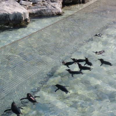 葛西臨海水族園