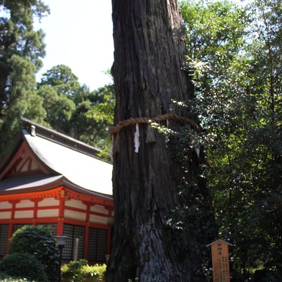 香取神宮 楼門