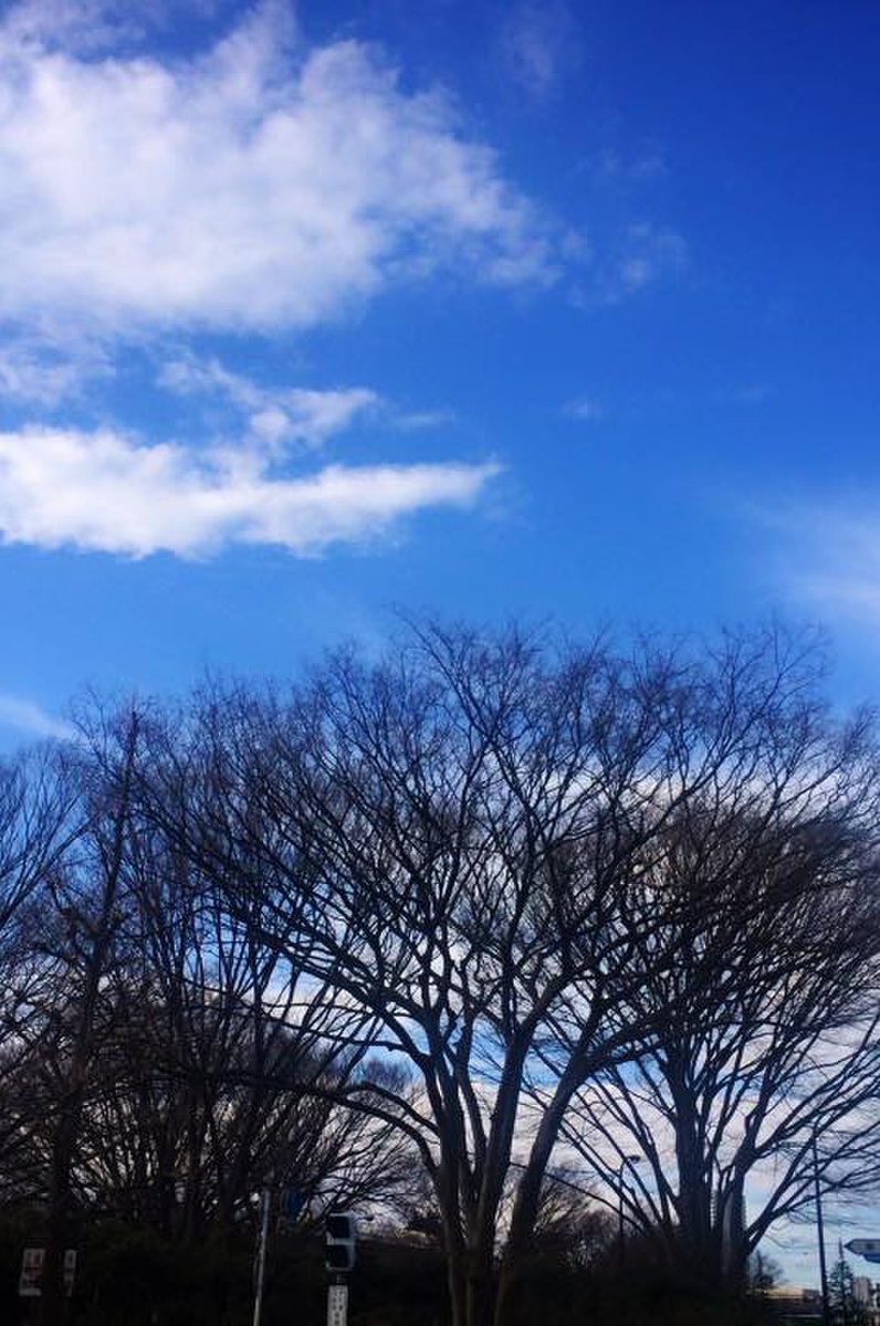 都立駒沢オリンピック公園