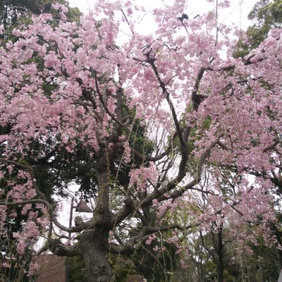 上野 精養軒 バンケットルーム