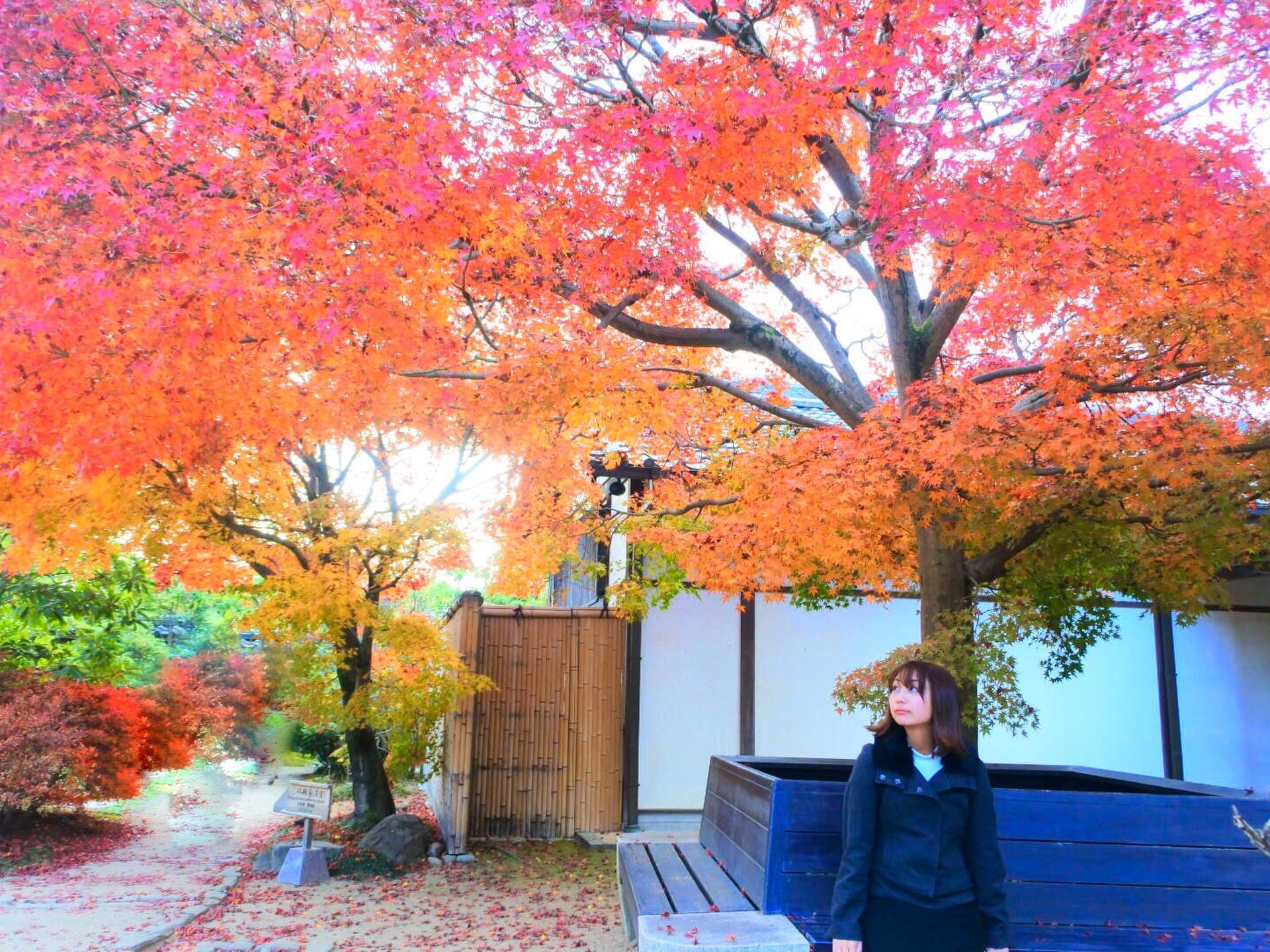 国宝「姫路城」すぐそば紅葉の名勝「好古園」で秋を満喫！おすすめランチと話題のお店もご紹介♩