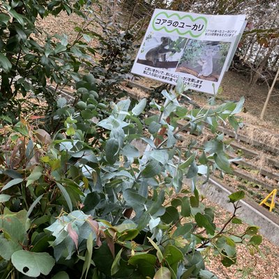 東京都多摩動物公園