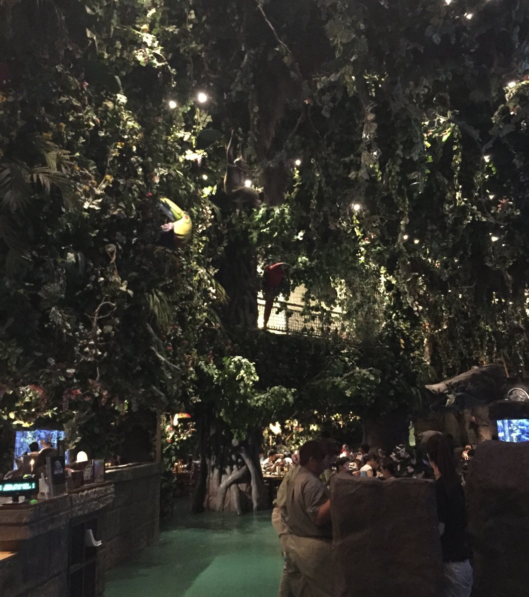 イクスピアリグルメ え ジャングル Rainforest Cafe で思い出に残る食事を Playlife プレイライフ