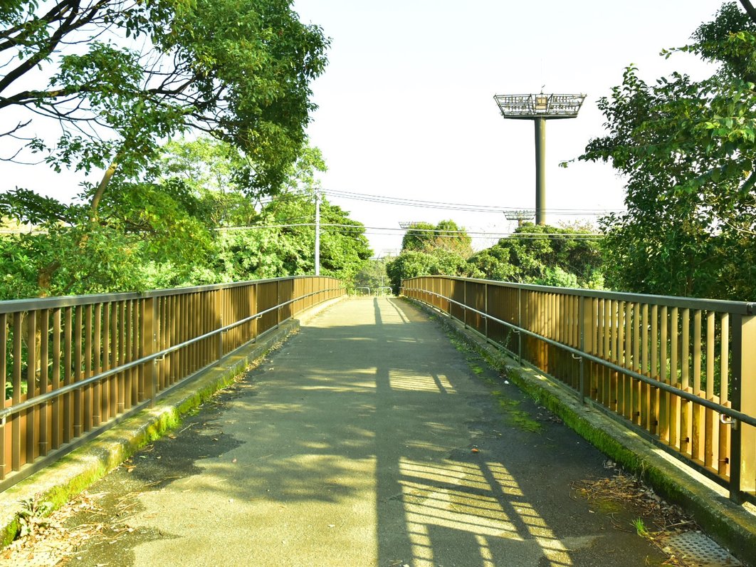 大井ふ頭中央海浜公園スポーツの森