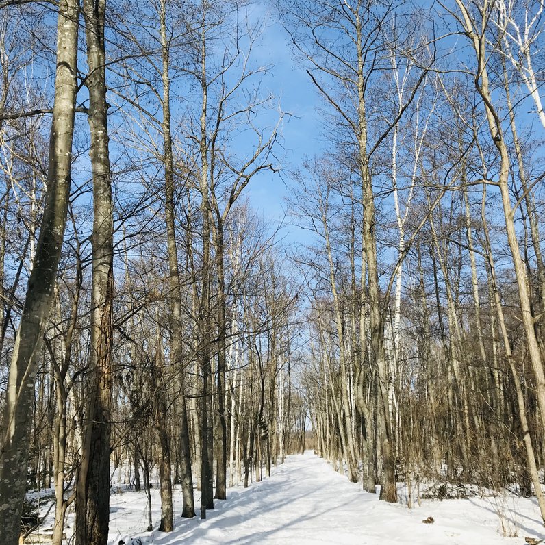 帯広の森 はぐくーむ