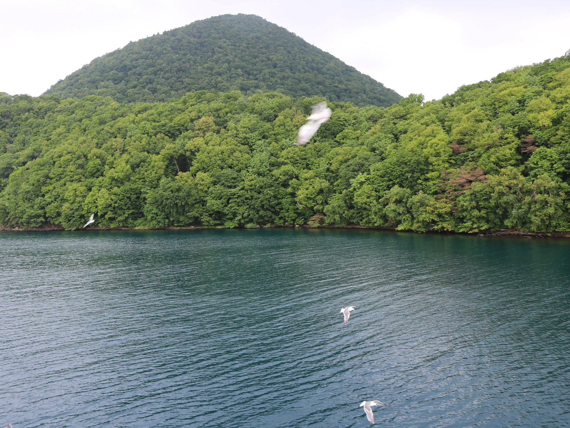 【洞爺湖】遊覧船に乗って風水パワースポット中島へ。森林浴でリフレッシュしよう♪