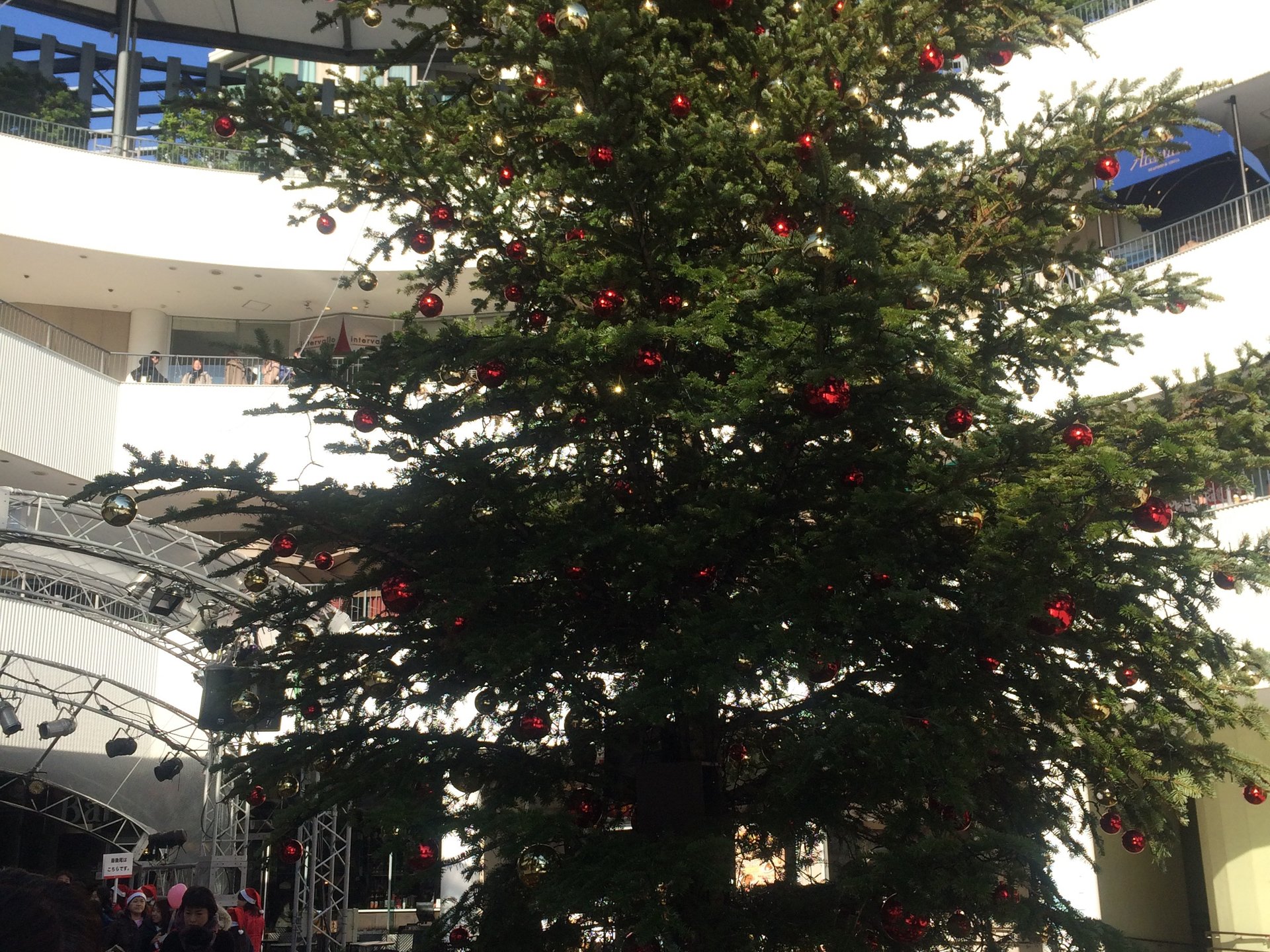 横浜のクリスマスツリー巡りプラン♡
