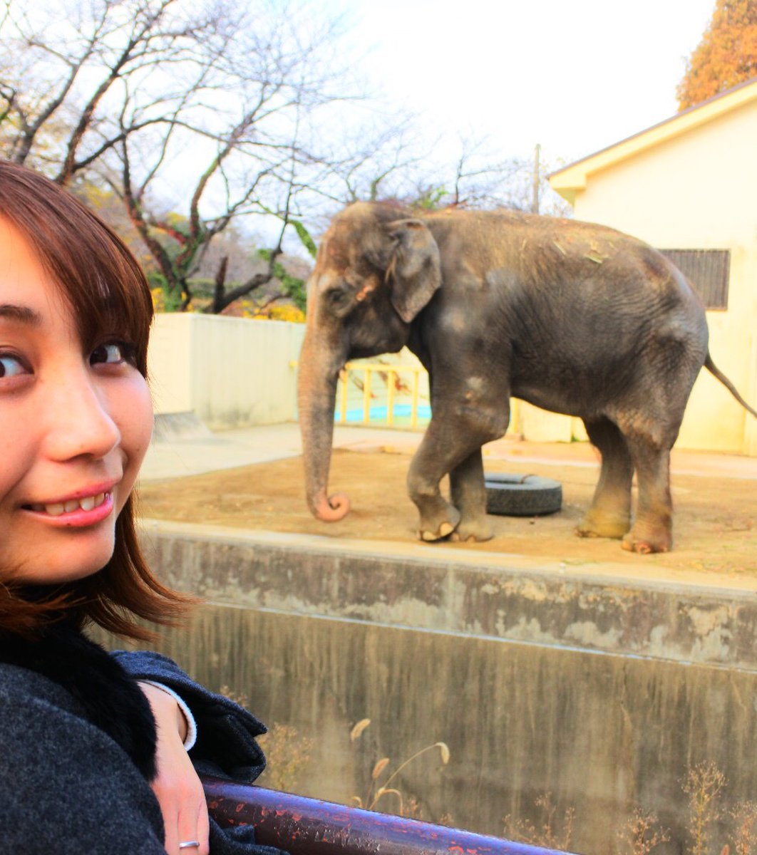 城内にある動物園 入園料は0円 姫路城にある姫路市立動物園へ行こう Playlife プレイライフ