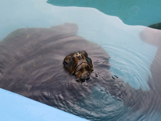 むろと廃校水族館