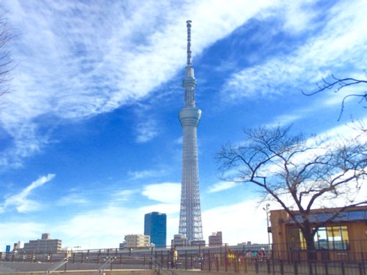 隅田公園