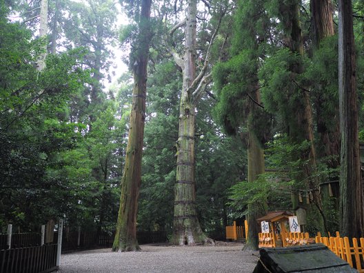 高千穂神社(十社大明神)