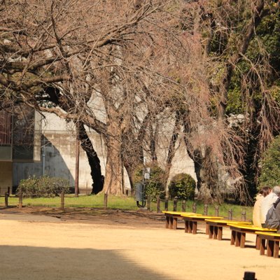 東京国立博物館 庭園