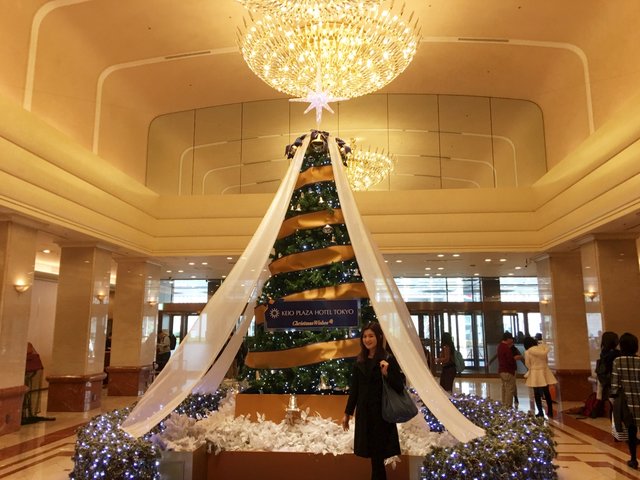 新宿 クリスマスにおすすめのディナー15選 夜景が綺麗なお店や個室店まで Playlife プレイライフ