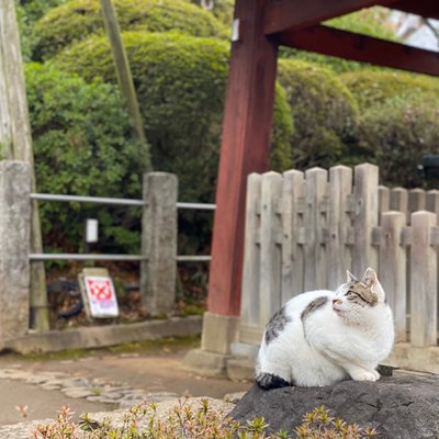 護国寺