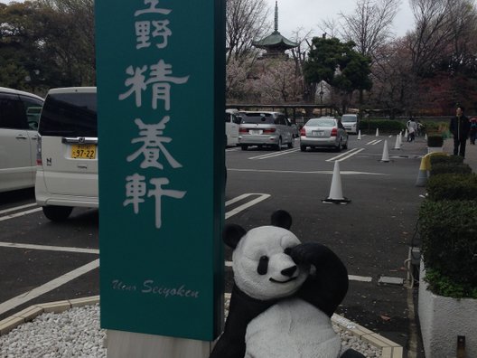 上野 精養軒 バンケットルーム