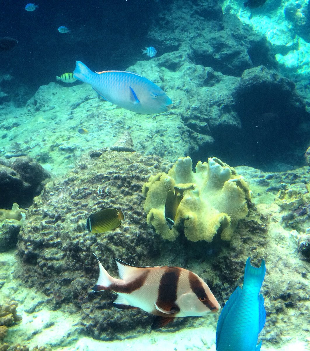 沖縄美ら海水族館