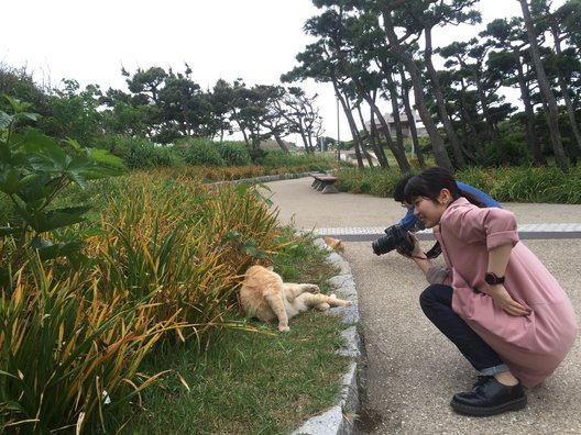 県立城ケ島公園