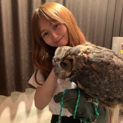 フクロウカフェ&バー 格闘梟