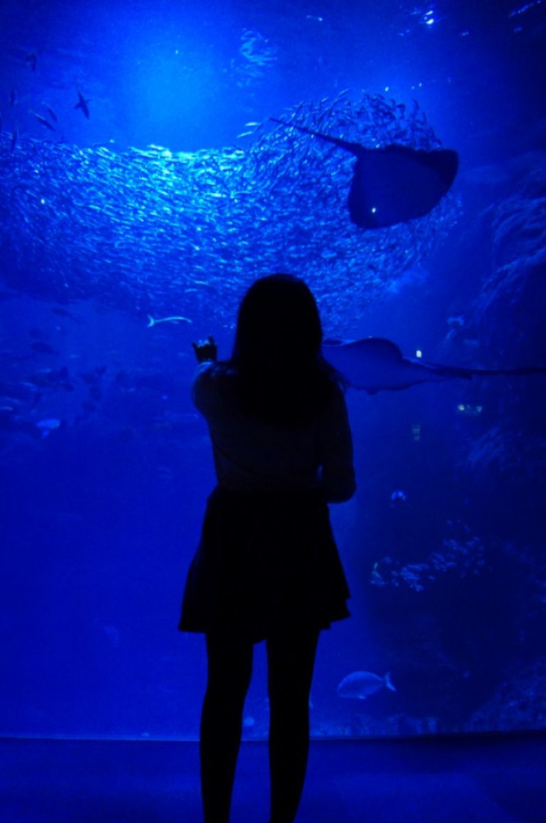 新江ノ島水族館