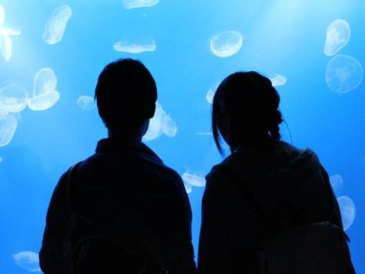 すみだ水族館