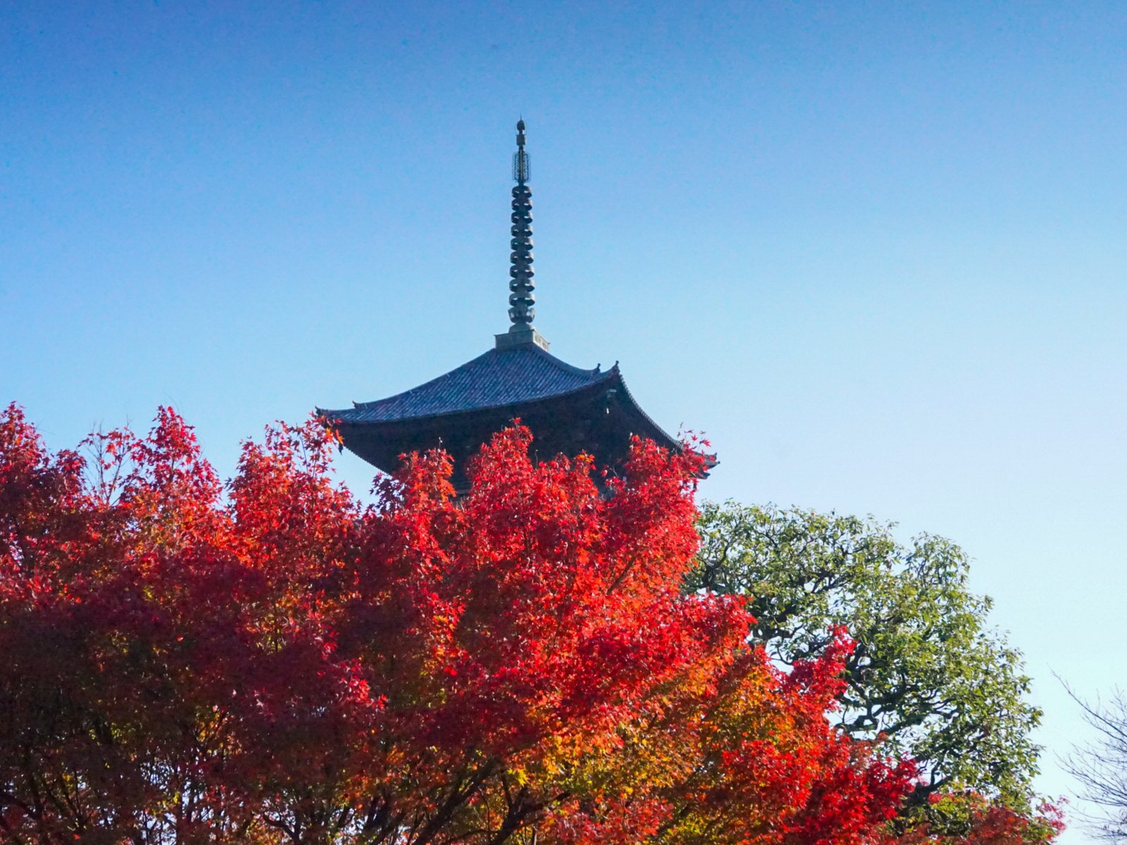 東寺(教王護国寺)